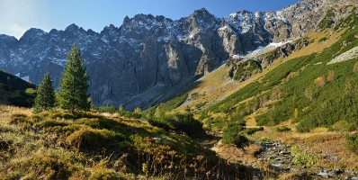 Limby w Dolinie Jaworowej